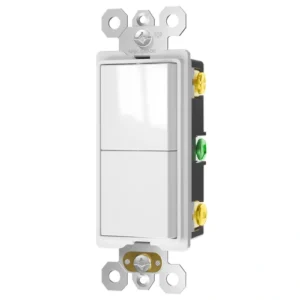 15A dual rocker switch
